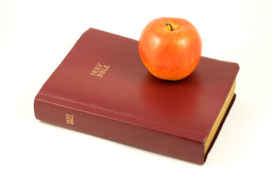 High angle view of apple on book against white background