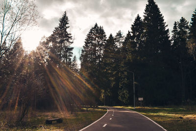 Road amidst trees in forest against sky