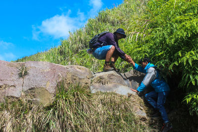 Rear view of men on rock by tree