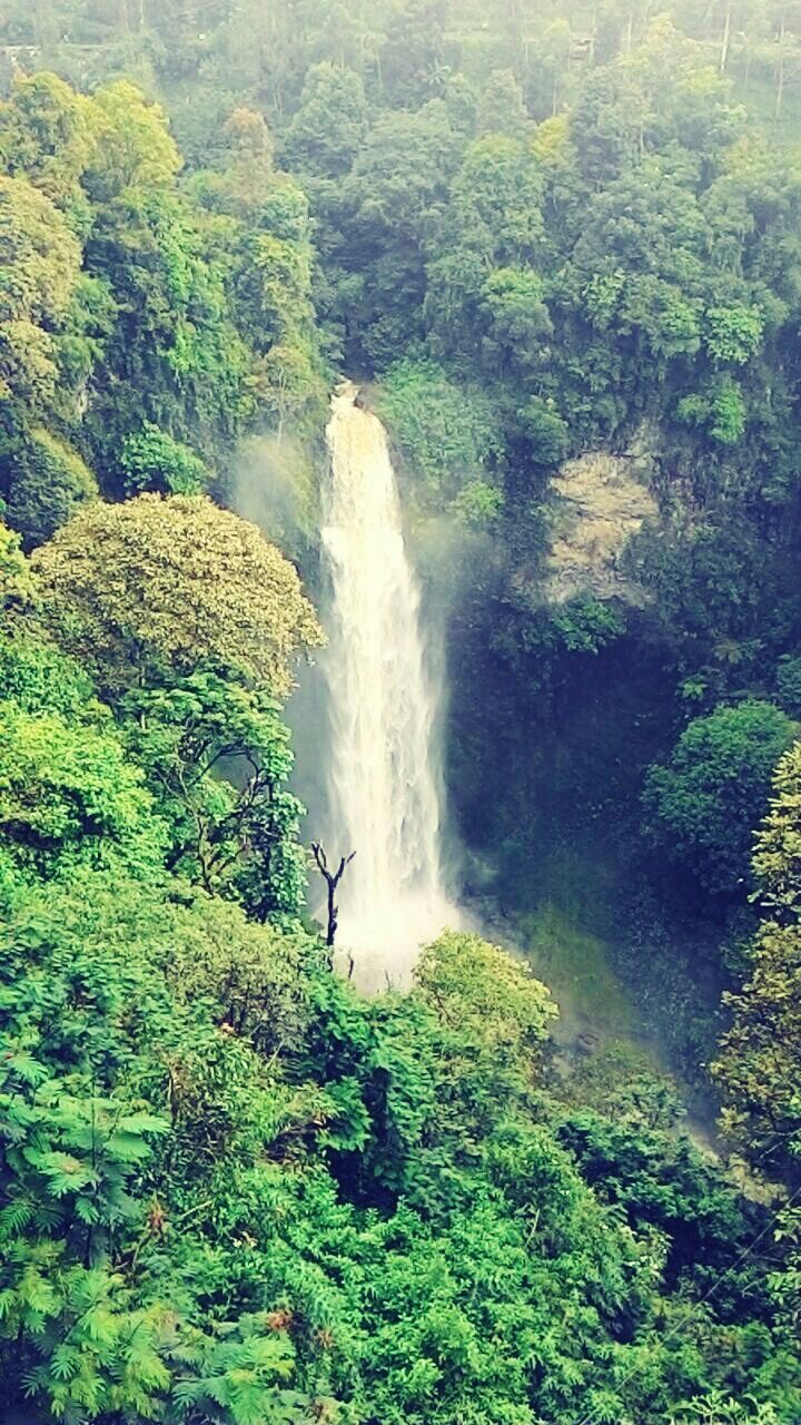 waterfall, water, motion, beauty in nature, scenics, flowing water, long exposure, nature, flowing, tree, forest, rock - object, power in nature, green color, plant, idyllic, rock formation, tranquil scene, lush foliage, growth