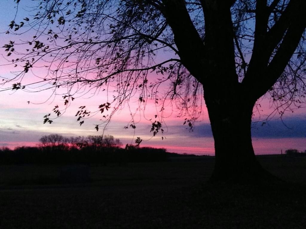 silhouette, sunset, tranquility, tree, tranquil scene, sky, scenics, beauty in nature, nature, branch, bare tree, landscape, tree trunk, idyllic, cloud - sky, dusk, cloud, non-urban scene, water, outdoors