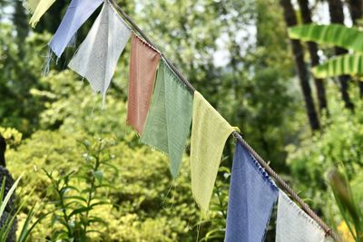 Clothes drying on clothesline