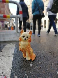Close-up of tiger standing on road in city