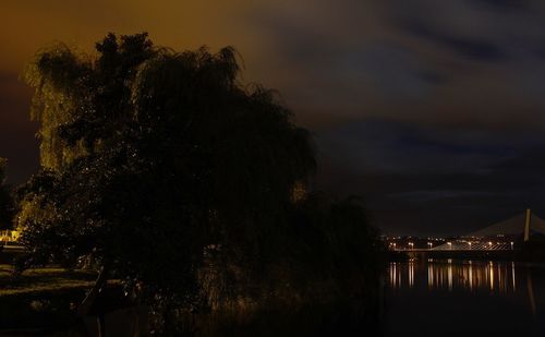 Silhouette trees against sky at night