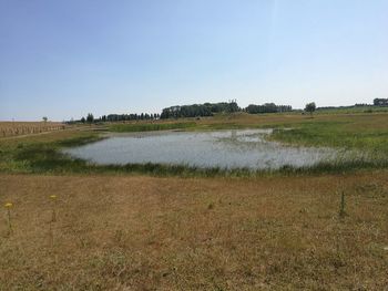 Scenic view of field against clear sky