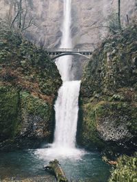 Scenic view of waterfall in forest