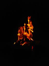 Close-up of bonfire at night