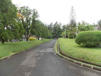 Empty road along trees