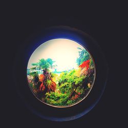 Building seen through glass window