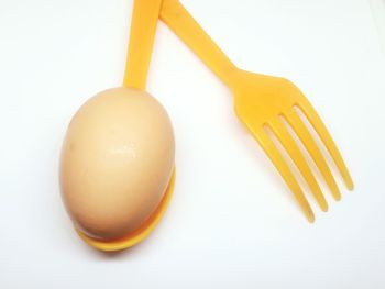 High angle view of eggs on white background