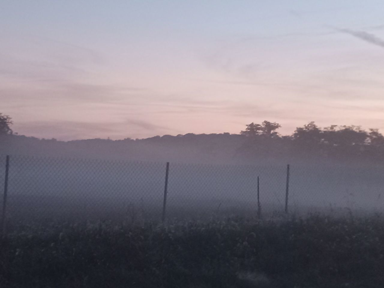 morning, mist, sky, fog, environment, fence, dawn, landscape, tranquility, sunrise, nature, cloud, tranquil scene, plant, horizon, scenics - nature, no people, land, beauty in nature, field, grass, rural scene, wire, twilight, tree, outdoors, sunlight, agriculture, idyllic, non-urban scene, sun, security, protection, haze