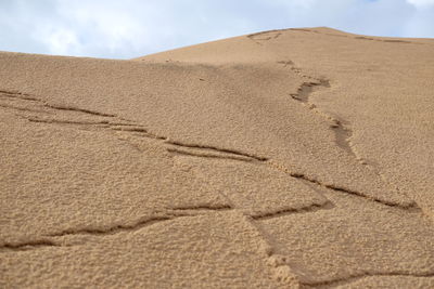 Close-up of sand dunes at beach against sky