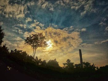 Low angle view of silhouette trees against sky during sunset