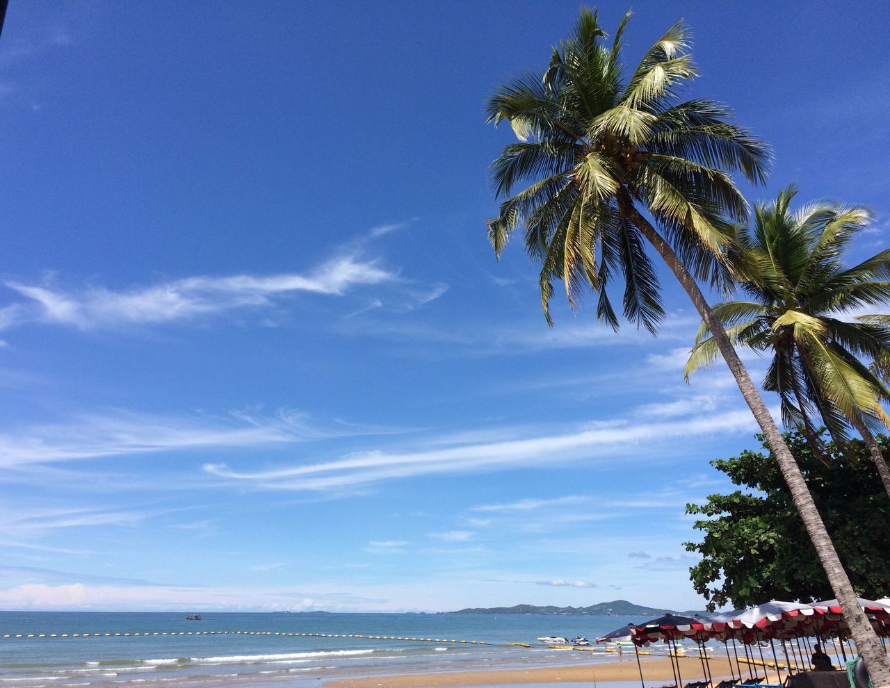 sea, sky, palm tree, blue, tree, beach, water, outdoors, tranquility, day, scenics, tranquil scene, nature, horizon over water, cloud - sky, beauty in nature, no people