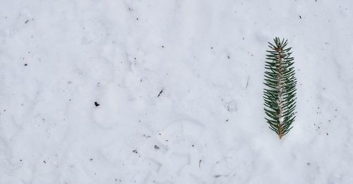 Full frame shot of snow covered field