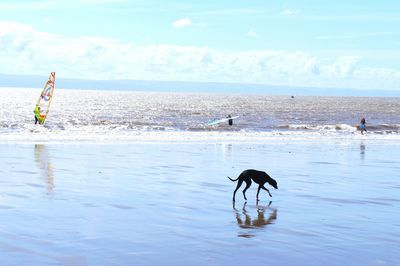 Man on beach against sky