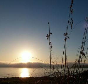 Sun shining over sea