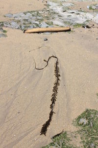 High angle view of footprints on sand at beach