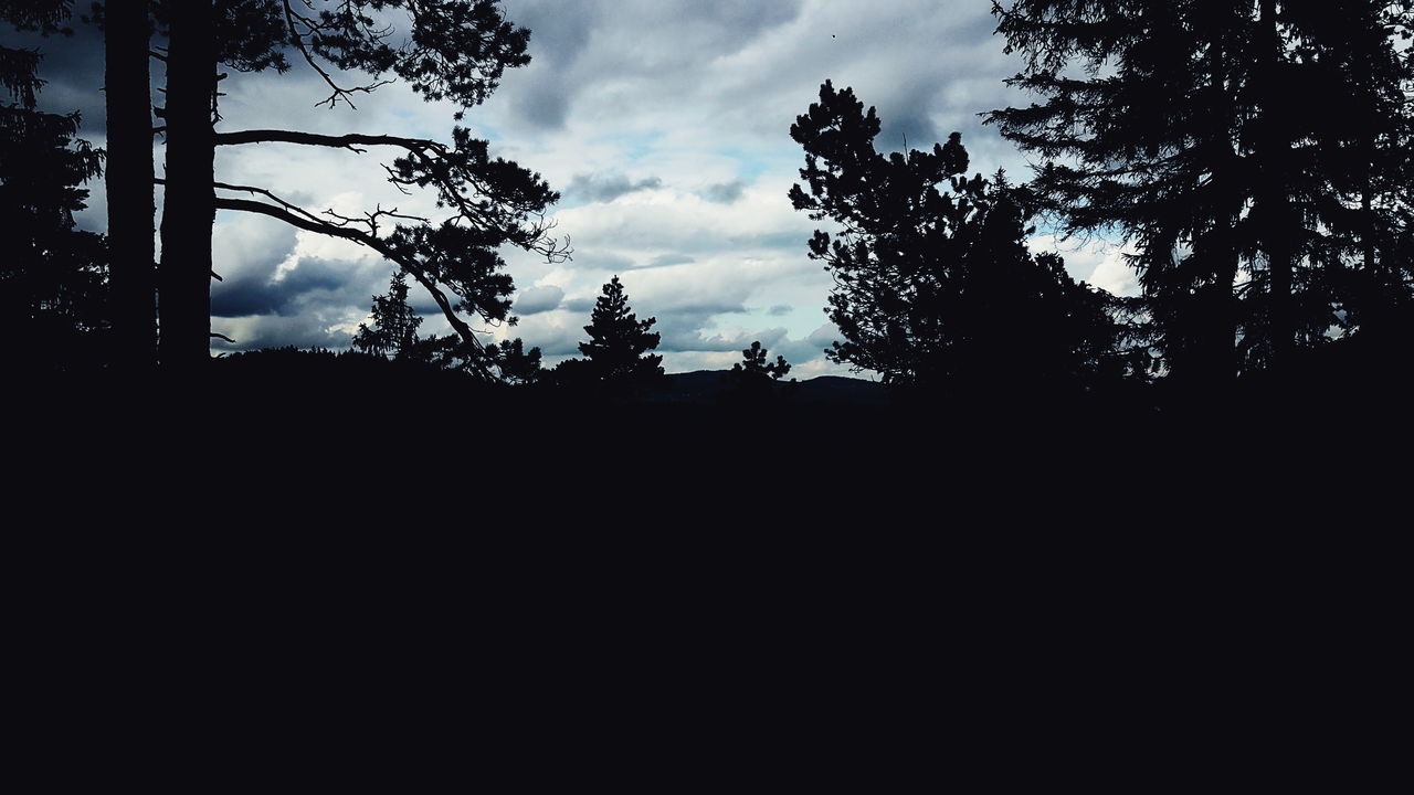 silhouette, tree, dark, sky, nature, no people, forest, landscape, beauty in nature, day, outdoors