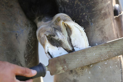 Midsection of man holding fish