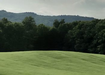 Scenic view of golf course against sky