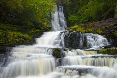 Low angle view of waterfall in forest