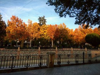 Park by autumn trees against sky