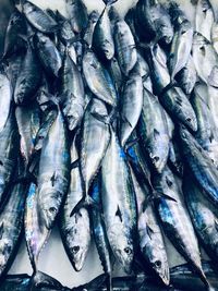 High angle view of fish for sale in market