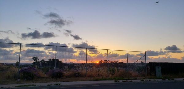 Silhouette plants by fence against sky during sunset