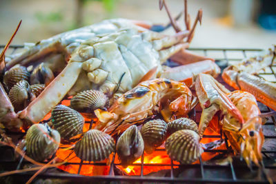 Close-up of fish on barbecue grill