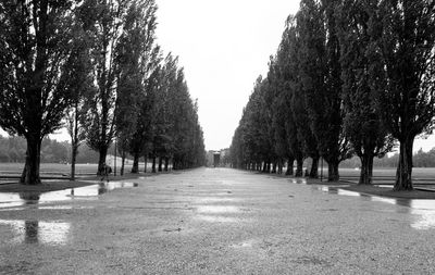 Footpath amidst trees against clear sky