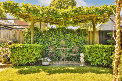 Trees growing outside house