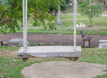 Trees in park