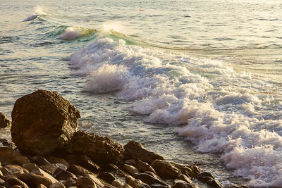 High angle view of rocks on beach