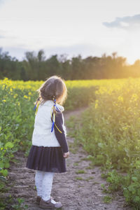 Girl with ukrainian ribbons in her hair in a flowering field at sunset