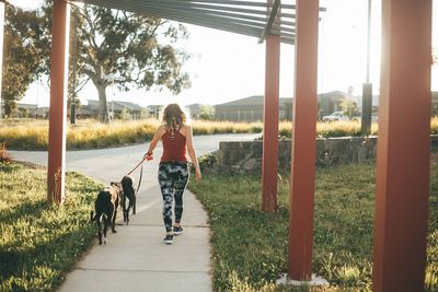 Rear view of woman with dog walking in park