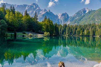 Scenic view of lake by trees against sky