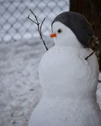 Close-up of bird perching on snow