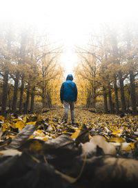 Rear view of man walking on snow covered trees during autumn