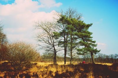 Scenic view of field against cloudy sky