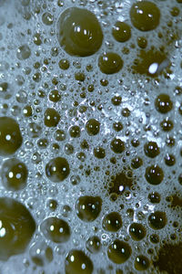 Full frame shot of water drops on glass