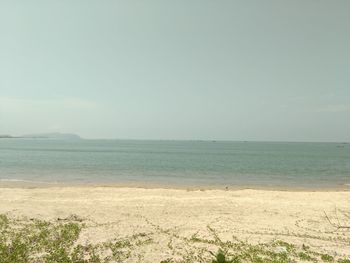 Scenic view of sea against clear sky