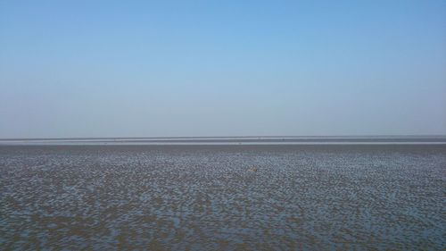 Surface level of sandy beach against clear sky