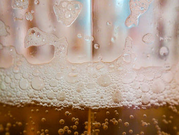 Close-up of wet beer glass