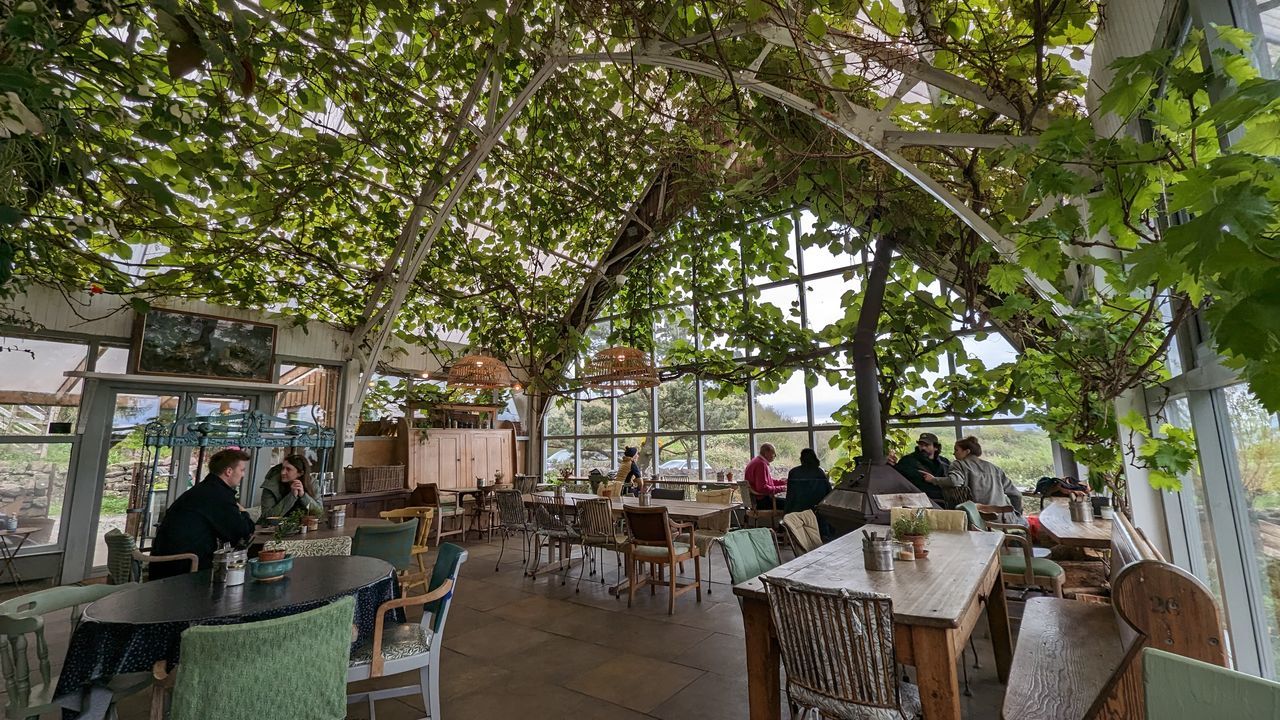 table, tree, plant, seat, food and drink, business, chair, restaurant, cafe, group of people, architecture, nature, food, adult, city, furniture, crowd, outdoors, sitting, day, lifestyles, sidewalk cafe, women, men, travel, relaxation, leisure activity, tourism