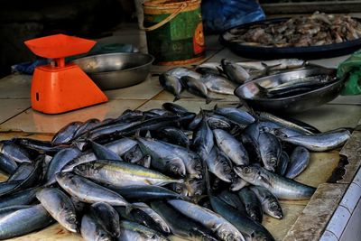 Fish for sale in market