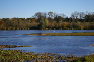 Scenic view of lake by trees against sky