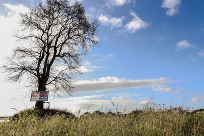 Bare tree on field against sky