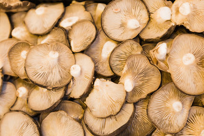 Full frame shot of mushrooms for sale in market