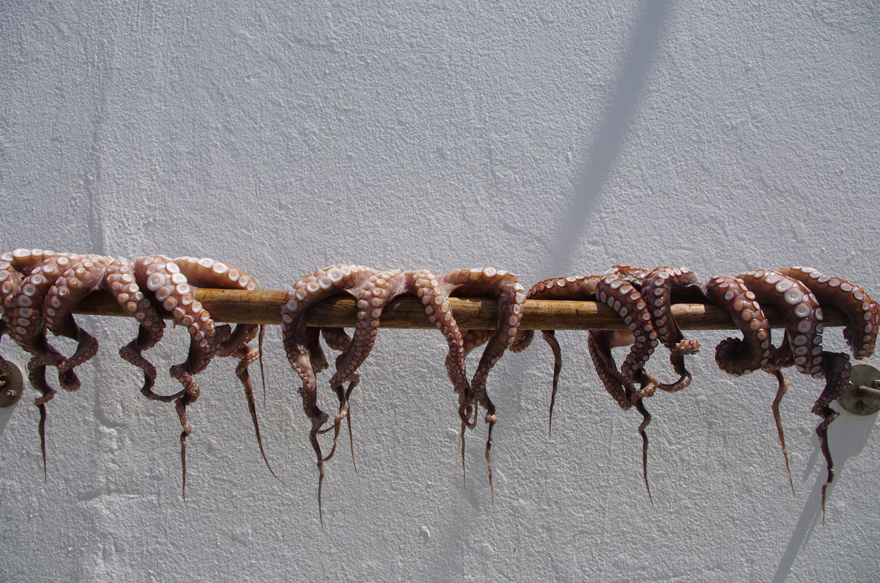 CLOSE-UP OF CHAIN SWING HANGING